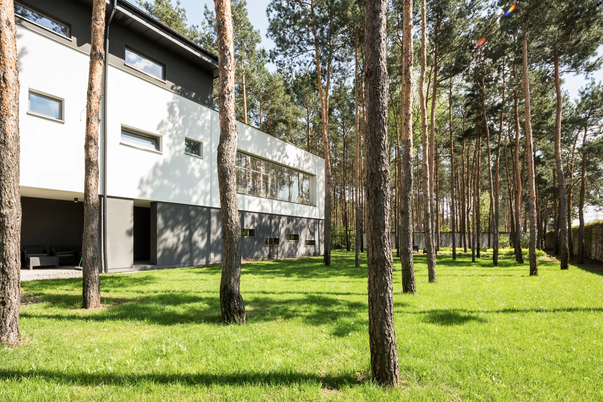 Modern white-facade home among tall trees